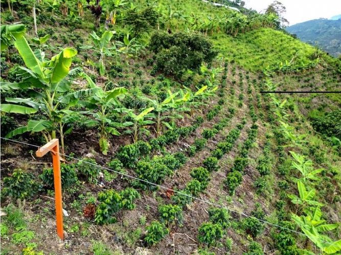 Finca en venta en La Siria, Manizales, 300 m² · foto 10 de 24