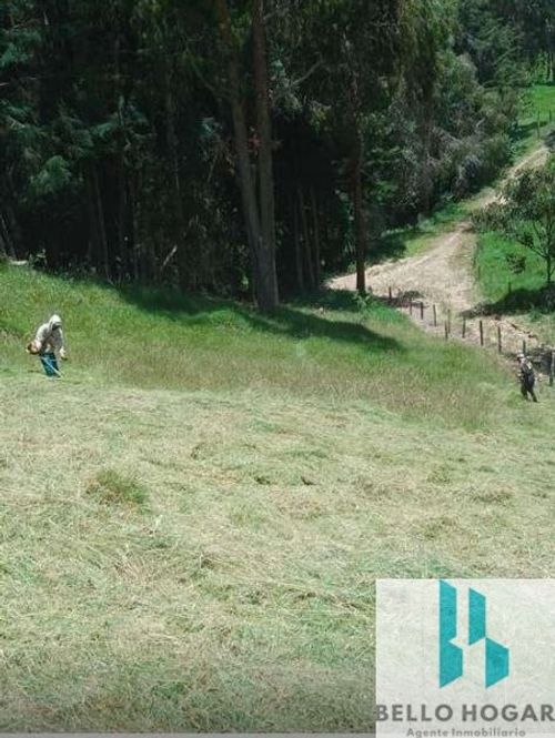 Lote en venta en San Felix, Bello, 3348 m² · foto 2 de 13