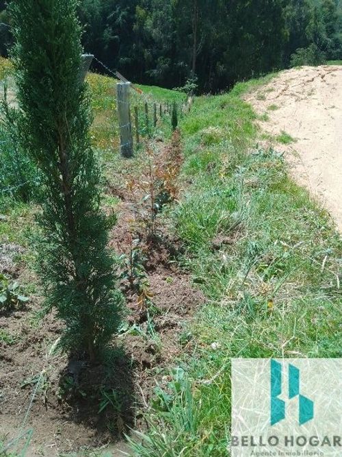Lote en venta en San Felix, Bello, 3348 m² · foto 3 de 13