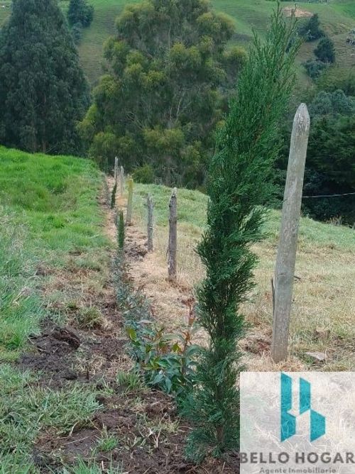 Lote en venta en San Felix, Bello, 3348 m² · foto 4 de 13