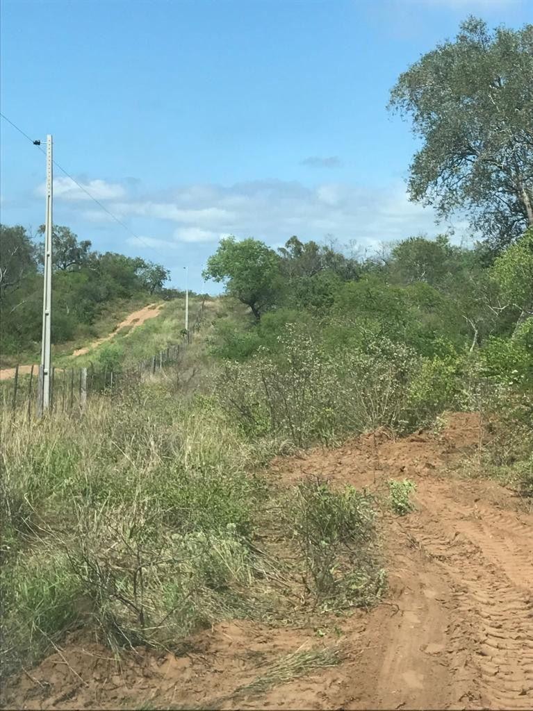 VENTA CHACO PARAGUAYO, 37.370 HAS PARA EXPLOTACION GANADERA,AGRICOLA  Y/O CAPTURA DE CARBONO — foto 3