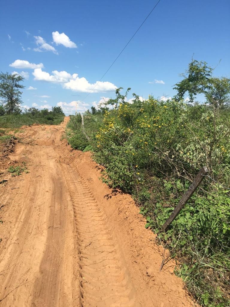 VENTA CHACO PARAGUAYO, 37.370 HAS PARA EXPLOTACION GANADERA,AGRICOLA  Y/O CAPTURA DE CARBONO — foto 2