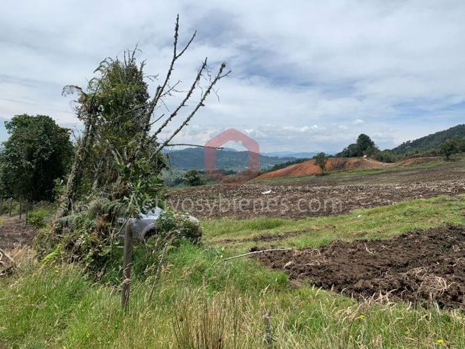 Lote en venta en Independencia, Pereira, 30954 m² · foto 2 de 10