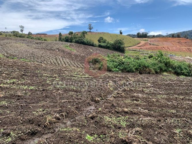 Lote en venta en Independencia, Pereira, 30954 m² · foto 3 de 10