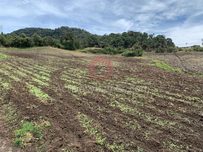 Lote en venta en Independencia, Pereira, 30954 m² · foto 4 de 10