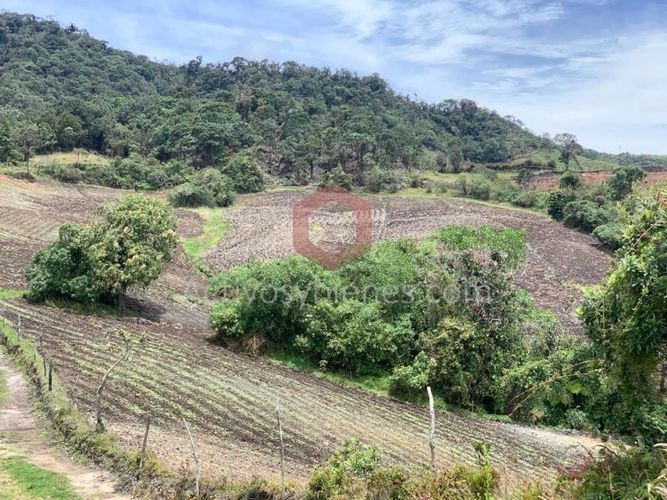 Lote en venta en Independencia, Pereira, 30954 m² · foto 5 de 10