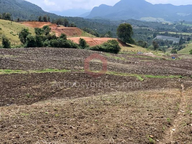 Lote en venta en Independencia, Pereira, 30954 m² · foto 7 de 10