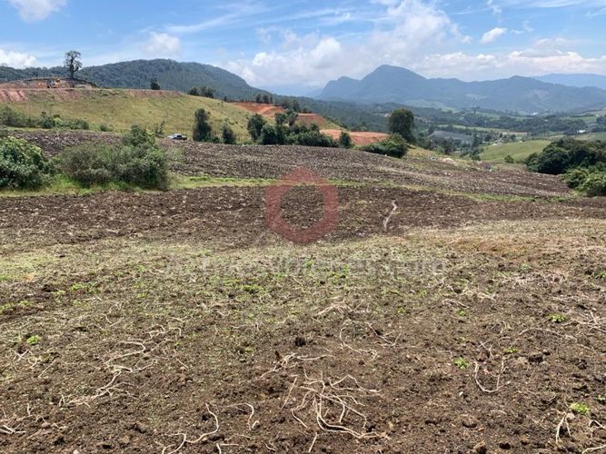 Lote en venta en Independencia, Pereira, 30954 m² · foto 8 de 10