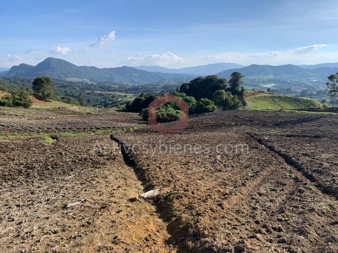Lote en venta en Independencia, Pereira, 30954 m² · foto 9 de 10