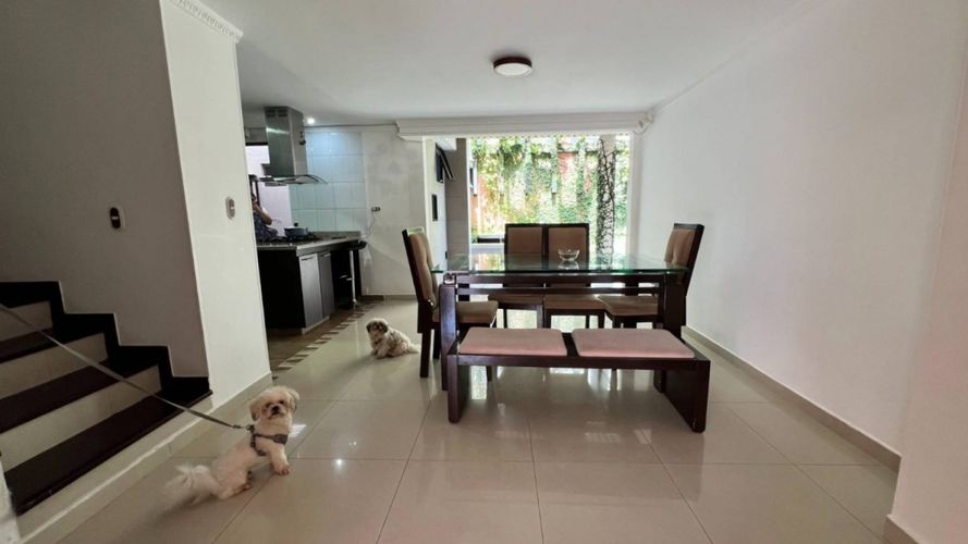 Apartamento de 5 alcobas en venta en Belen, Ibagué, 291 m² · foto 12 de 24