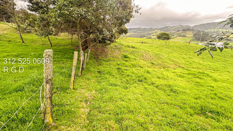 Finca en venta en Rio Frio, Zipaquirá, 25000 m² · foto 5 de 24