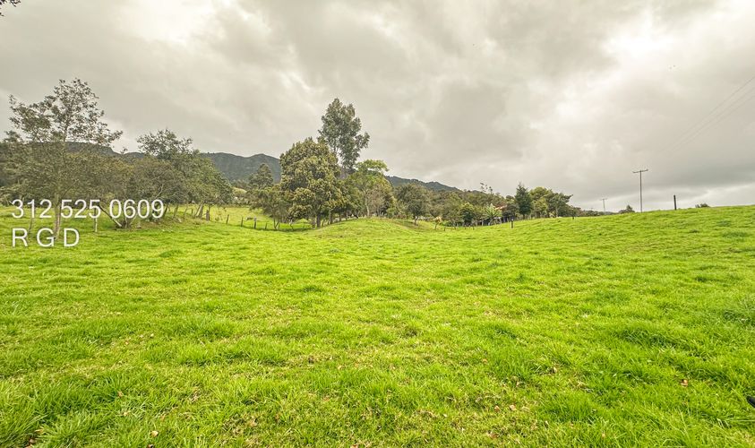 Finca en venta en Rio Frio, Zipaquirá, 25000 m² · foto 7 de 24