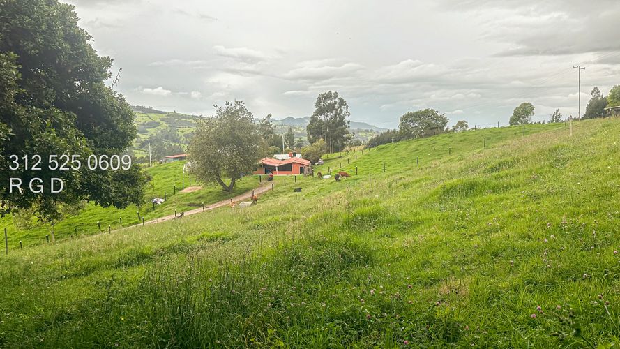 Finca en venta en Rio Frio, Zipaquirá, 25000 m² · foto 8 de 24