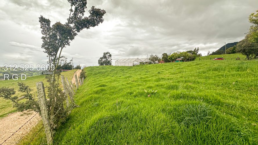 Finca en venta en Rio Frio, Zipaquirá, 25000 m² · foto 11 de 24