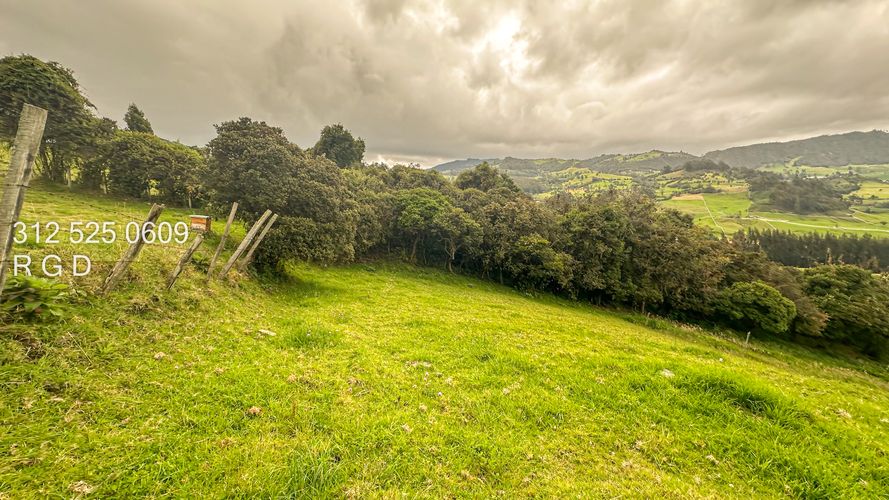 Finca en venta en Rio Frio, Zipaquirá, 25000 m² · foto 12 de 24