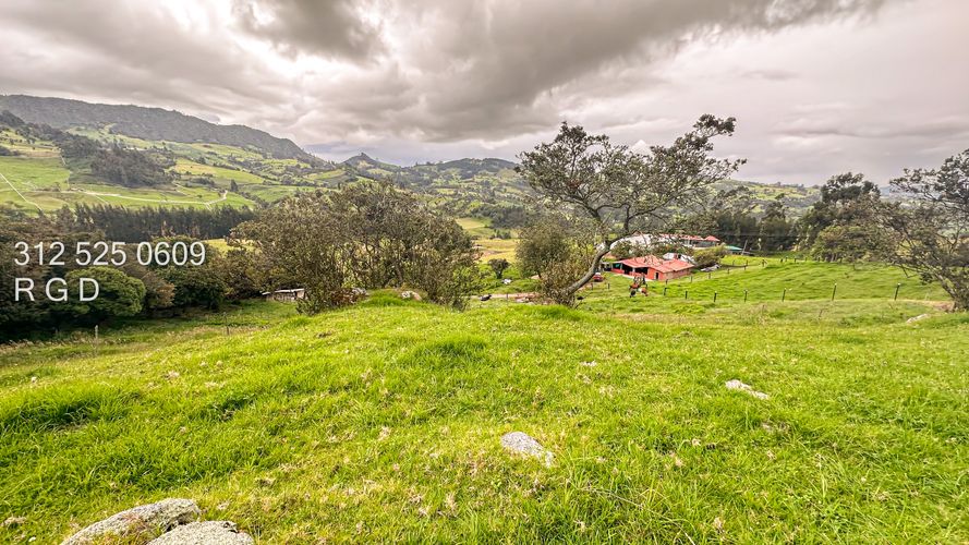 Finca en venta en Rio Frio, Zipaquirá, 25000 m² · foto 17 de 24