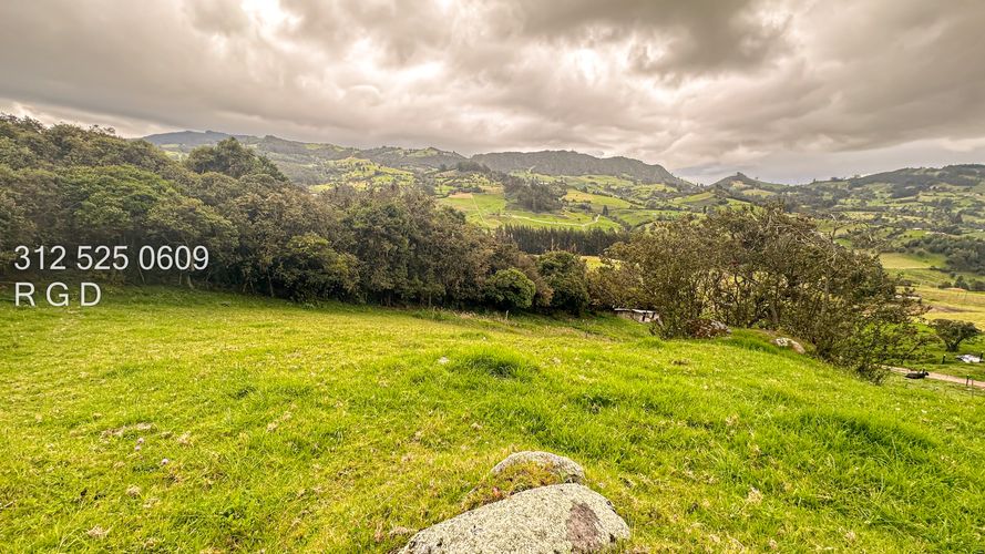 Finca en venta en Rio Frio, Zipaquirá, 25000 m² · foto 18 de 24