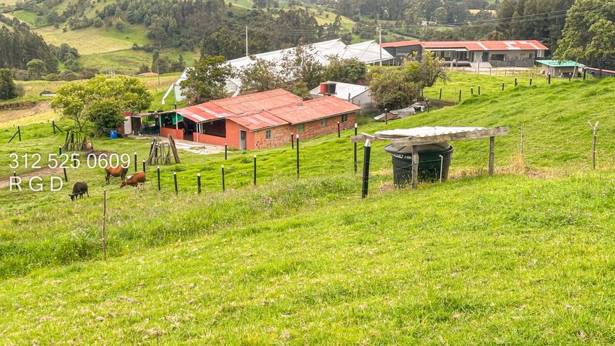 Finca en venta en Rio Frio, Zipaquirá, 25000 m² · foto 20 de 24