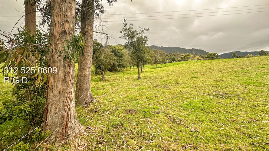 Finca en venta en Rio Frio, Zipaquirá, 25000 m² · foto 23 de 24