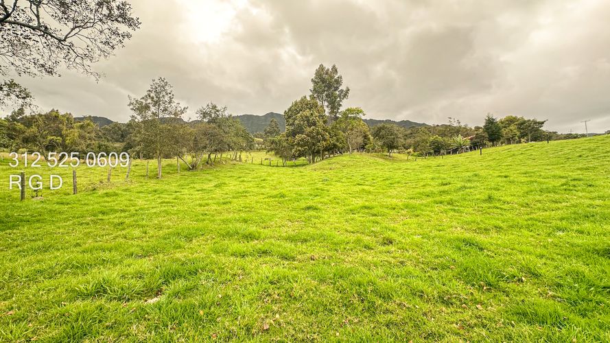 Finca en venta en Rio Frio, Zipaquirá, 25000 m² · foto 24 de 24