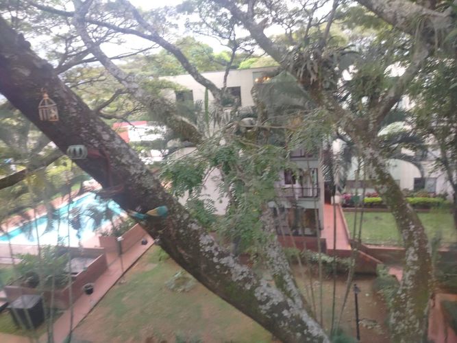 Apartamento de 3 alcobas en venta en El Ingenio, Cali, 100 m² · foto 7 de 24