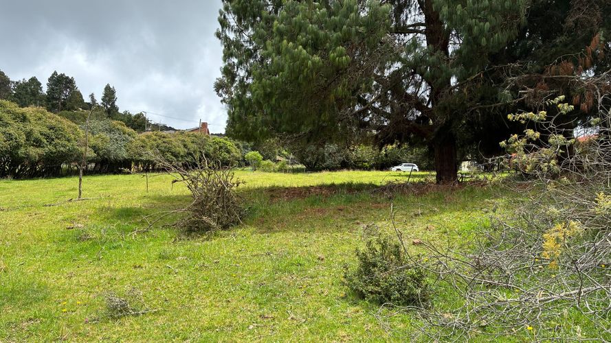 Lote en venta en El Libano, La Calera, 3900 m² · foto 9 de 24