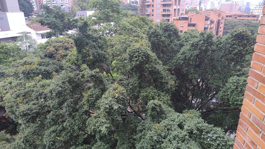 Apartamento de 4 alcobas en venta en Castropol, Medellín, 165 m² · foto 21 de 23