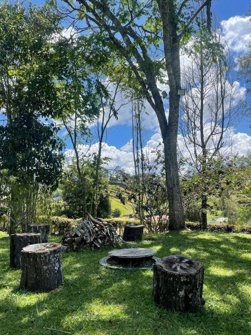 Finca en venta en El Carmen De Viboral, El Carmen de Viboral, 300 m² · foto 15 de 21