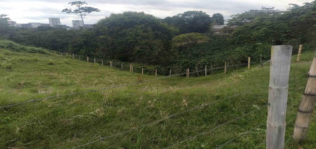 Lote en venta en Centenario, Armenia · foto 14 de 22