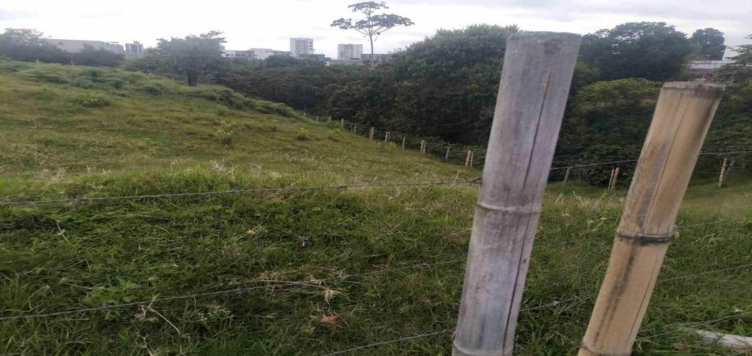 Lote en venta en Centenario, Armenia · foto 11 de 22
