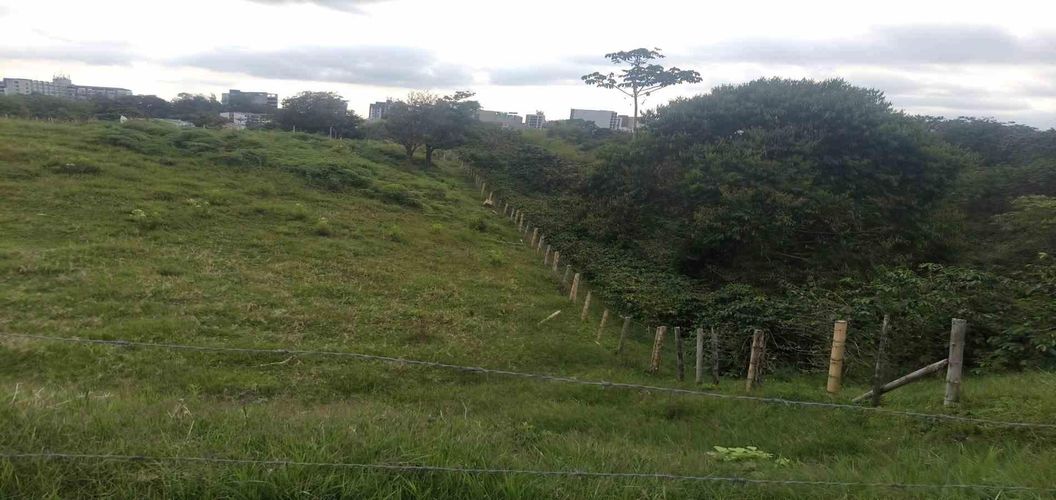 Lote en venta en Centenario, Armenia · foto 18 de 22