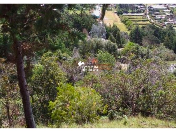 Lote en venta en La Convencion, Rionegro, 11600 m² · foto 4 de 8