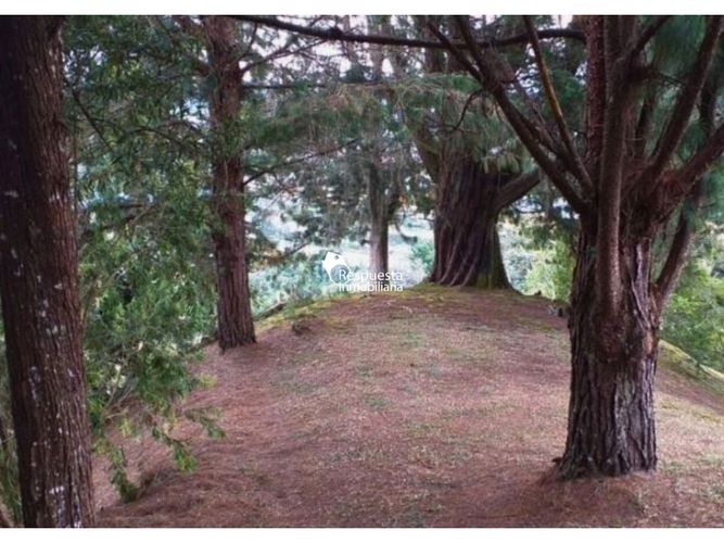 Lote en venta en La Convencion, Rionegro, 11600 m² · foto 5 de 8