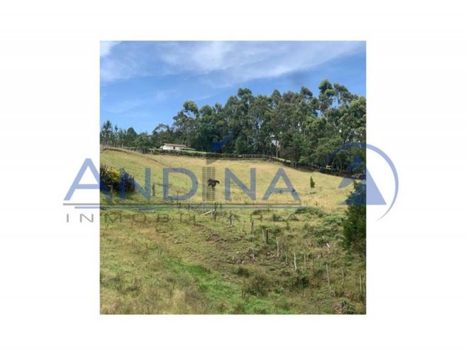 Finca en venta en Piedras Blancas, Guarne, 6200 m² · foto 10 de 20