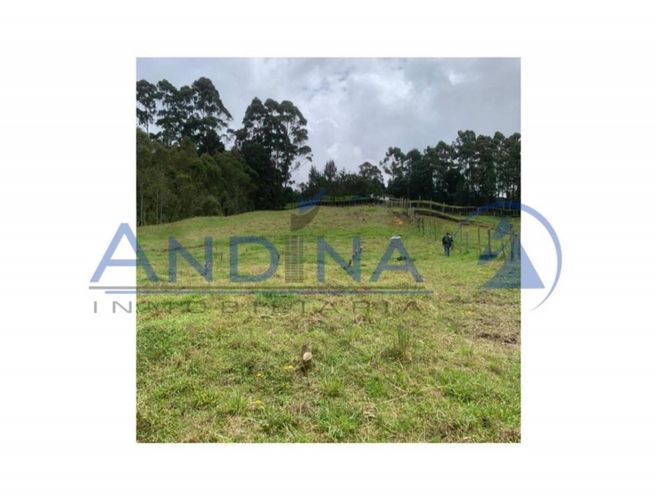 Finca en venta en Piedras Blancas, Guarne, 6200 m² · foto 13 de 20