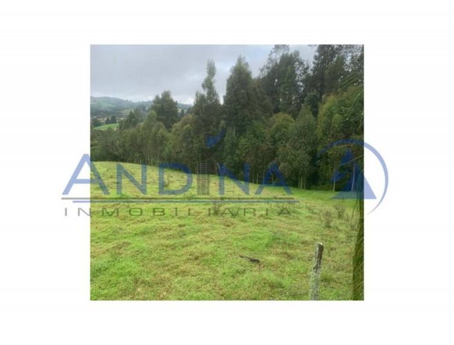 Finca en venta en Piedras Blancas, Guarne, 6200 m² · foto 15 de 20