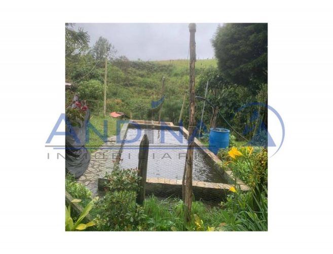 Finca en venta en Piedras Blancas, Guarne, 6200 m² · foto 16 de 20