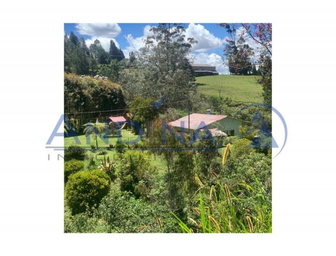 Finca en venta en Piedras Blancas, Guarne, 6200 m² · foto 19 de 20