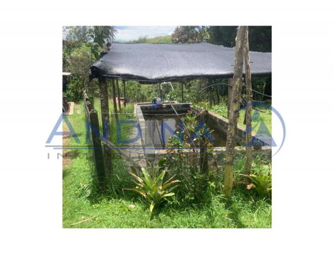 Finca en venta en Piedras Blancas, Guarne, 6200 m² · foto 20 de 20