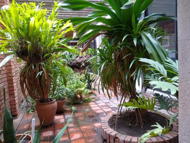 Local en arriendo en Libertadores, Cúcuta, 235 m² · foto 23 de 23