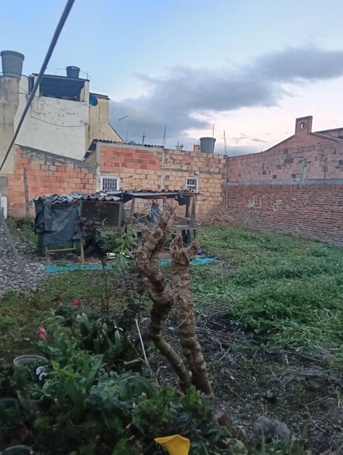 Casa de 5 alcobas en venta en Ub. Serrezuelita, Funza, 400 m² · foto 23 de 24