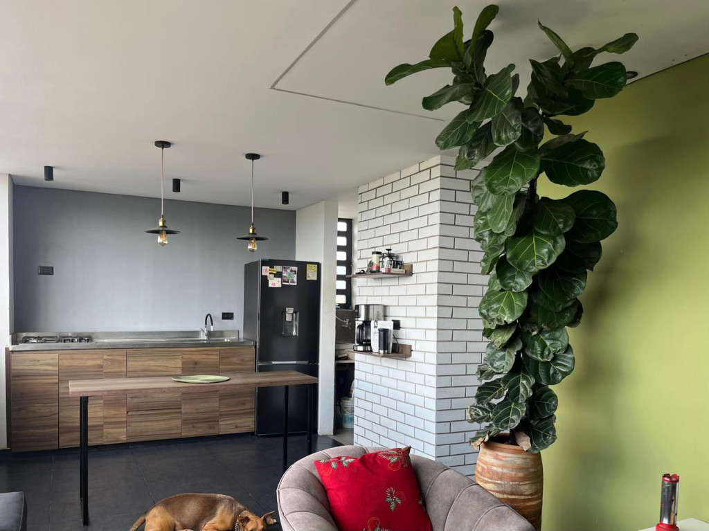 Apartamento en venta en Guaymaral, Cúcuta · foto 12 de 17