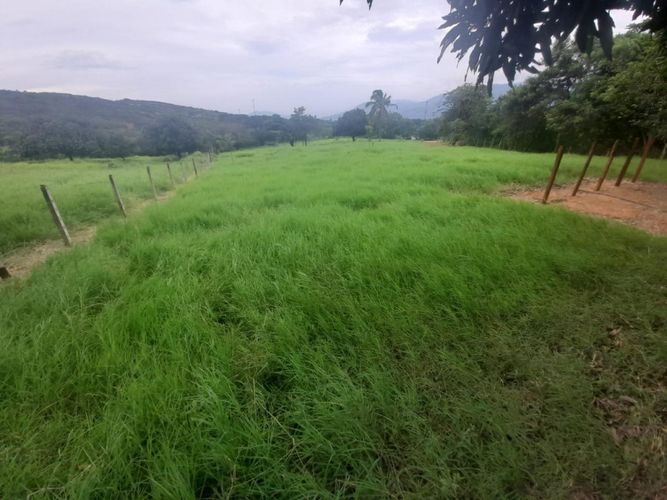 Finca en venta en Juan Frio, Villa del Rosario, 40000 m² · foto 2 de 20