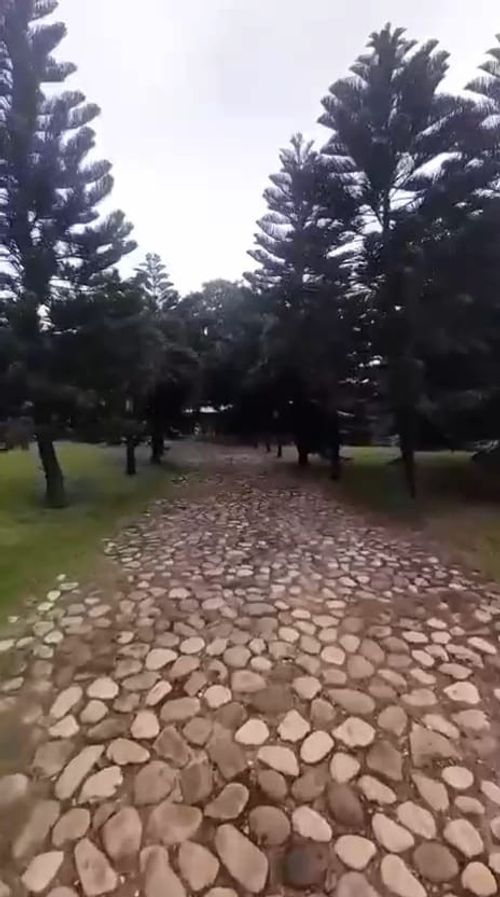 Finca en venta en Juan Frio, Villa del Rosario, 40000 m² · foto 5 de 20