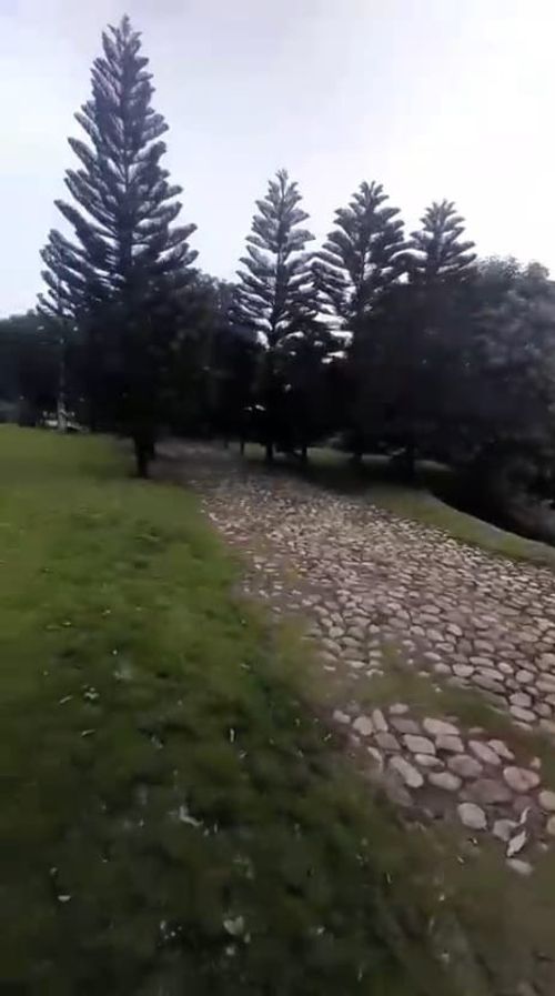 Finca en venta en Juan Frio, Villa del Rosario, 40000 m² · foto 6 de 20