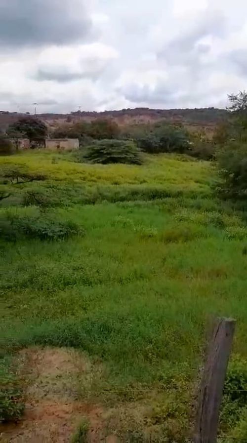 Finca en venta en Juan Frio, Villa del Rosario, 40000 m² · foto 10 de 20