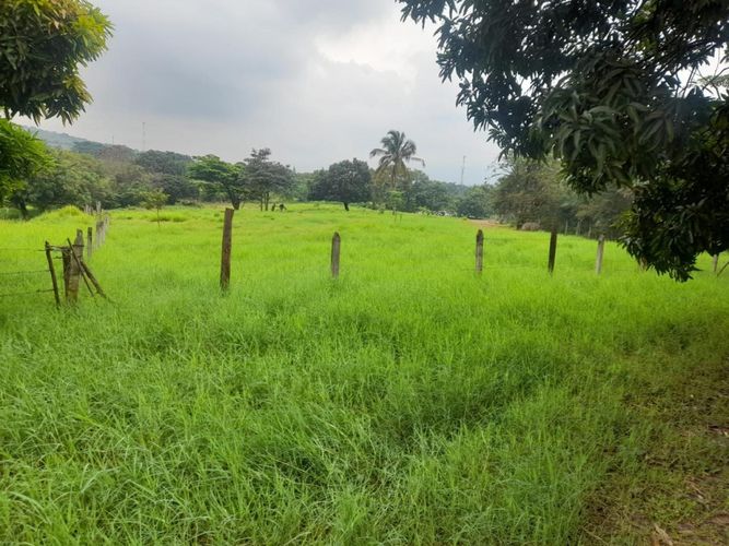Finca en venta en Juan Frio, Villa del Rosario, 40000 m² · foto 17 de 20
