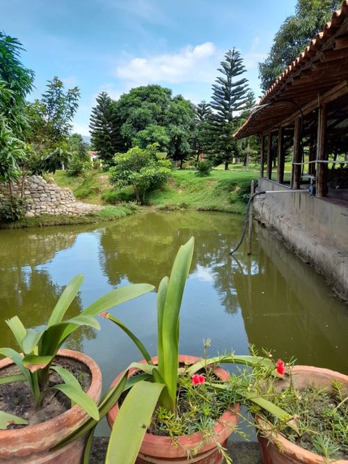 Finca en venta en Juan Frio, Villa del Rosario, 40000 m² · foto 19 de 20