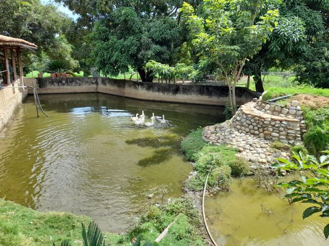 Finca en venta en Juan Frio, Villa del Rosario, 40000 m² · foto 20 de 20