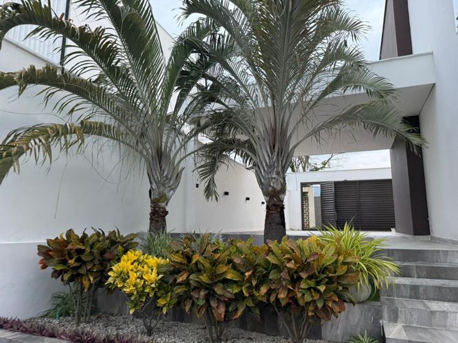 Casa de 12 alcobas en venta en California, Los Patios, 1250 m² · foto 24 de 24